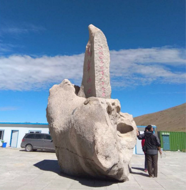 0da247f08a2e48798c2b3e1ef9e70795