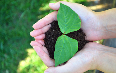 k豆钱包官方网站 - KDpay钱包