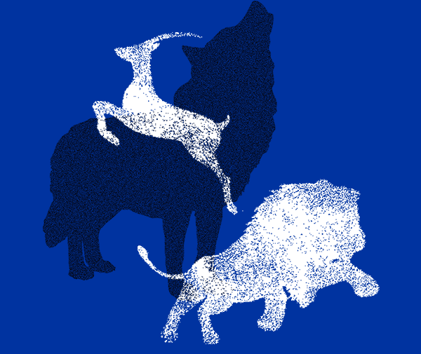 k豆钱包官方网站 - KDpay钱包